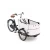Import Electric Family Cargo Bike1 from China