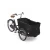 Import Electric Family Cargo Bike1 from China