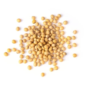 Soybeans Non GMO - Human Consumption
