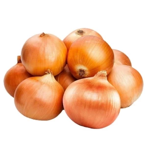 Selling grade onions fresh red onions export