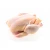 Import Fresh Whole Chicken Meat without Neck and Giblets (100% Natural) from Canada