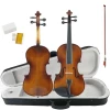 China Factory Handmade Violin with case , Bow, Rosin