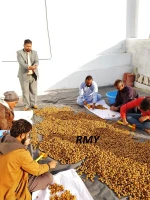 RMY Soap Nuts from Pakistan