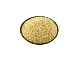 Premium sorghum grains available for wholesale food and feed supply