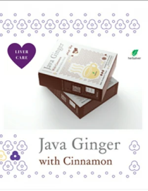 Java Ginger with Cinnamon - Herbaliver Tea Cinnamon