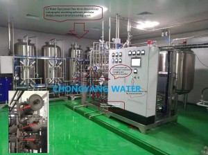 Demineralization ( DM ) Water Treatment Plants for pharmaceutical