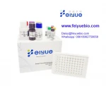 Feiyuebio Human sCD14(Soluble Cluster of Differentiation14) ELISA Kit