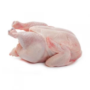 Fresh Whole Chicken Meat without Neck and Giblets (100% Natural)