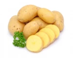 100% Export Oriented 2020 New Cultivate High Quality Fresh Potato From Bangladesh.