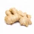 Import 100% Pure Fresh Organic Ginger from South Africa