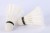 Import 12Pcs/Set Duck Feather Goose Feather Shuttlecock Resistant To Windproof White Badminton for Indoor and Outdoor Training Ball from China