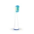 Import 2016 sonic electric toothbrush sanitizer FL-A12 from China