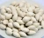 Import 2020/ 2021 Bai Guo Wholesale Best Quality Ginkgo Nuts from United Kingdom