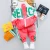 Import 2020 Autumn Kid Boy Girl Clothing New Casual Tracksuit Long Sleeve Letter Zipper Sets Infant Clothes Baby Pants 4 5 6 Years from China