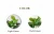 Import 2021 Artificial Palm Plants Leaves Faux Turtle Leaf Party Decorations Home Outdoor Indoor Decor Artificial Plastic Palm Leaves from China