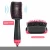 Import 2021 New Arrival  3 in 1  Electric Hair Comb Hair Styler One Step Hot Air Brush Hair Dryer Brush from China
