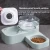 Import 2021 New Hoopet Automatic Adjustable Pet Cat And Dog Water Drink Bottle Bowl from China
