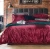 Import 2021 Popular Customized Logo King Size Silky Satin 4pcs Luxury Bedding Duvet Cover Set from China