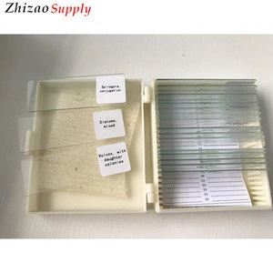 20Pcs protozoa and algae slides set microscope education prepared slides