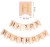 Import 21st Birthday Decorations Rose Gold Birthday Party Supplies with HAPPPY Birthday Banner Cake Topper Sliver Curtain from China