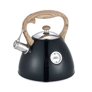 3 Litre color painting stainless steel whistling coffee tea water kettle with water capacity