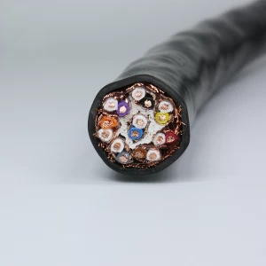 300/500V PVC insulated aluminum shielded steel wire armored instrument cable