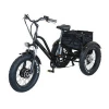 350 W Aluminum Alloy Frame Three Wheel Electric Tricycle