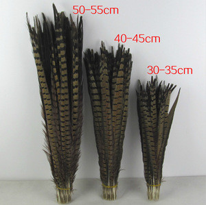 50-55cm Baby Red Real Natural Ringneck Pheasant Tail Feathers