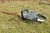 Import 58V Cordless Hedge Trimmer from China