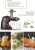 60RPM 150W Slow Masticating Juicer machines Extractor with Quiet DC Motor, Cold Press Juicer for Vegetables and Fruits