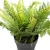 Import Adorable Fern Plants Greenery Bushes  for House Office Garden Indoor Outdoor Decor from China