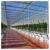 Import Agricultural Multi-span Glass Greenhouse with Irrigation&Hydroponics Equipment from China