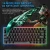 Import AK33 Compact 82 Keys Full Anti-Ghosting RGB Backlit Mechanical Gaming Keyboard  Aluminum Panel for Win PC  Laptop Game from China