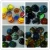 Import All kinds of Glass Marbles from China from China