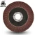 Import anger grinder  flap disc  for metal from China