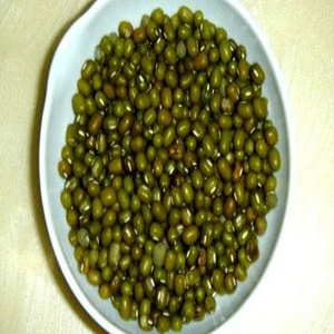 Animal Feed Green Millet