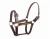 Import Arabian Colorful PVC Horse Halter for Horse Racing from China