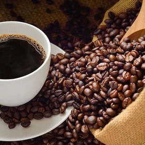Arabica  coffee beans ready for Export