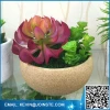 Artificial succulent plants with Custom Ceramic flower pot