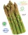 Import Asparagus by air freight from Thailand