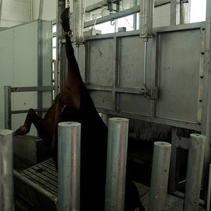 Automated Donkey Meat Processing Equipment For Slaughter Line