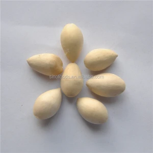Bai Guo Best Price dried Quality Ginkgo Nuts For Sale