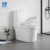 Import bathroom one piece white ceramics new wc piss sanitary ware toilet from China