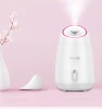 Beauty Products  Portable Nano  Facial Steamer Mini Skin Care Facial Mist Sprayer Fruit t and Vegetable Facial Steamer