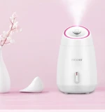 Beauty Products  Portable Nano  Facial Steamer Mini Skin Care Facial Mist Sprayer Fruit t and Vegetable Facial Steamer