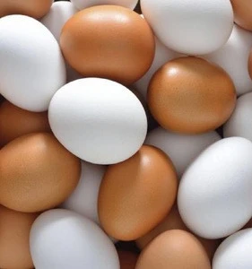 Best Quality Fresh Table Chicken Eggs