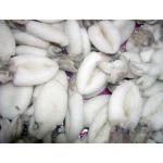 Best Quality Frozen Whole Cleaned Baby Cuttlefish Cuttlefish whole & whole cleaned, block and IQF, Baby CuttleFish