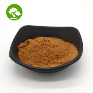 Best Selling Excellent Quality acacia bark extract acacia confusa root bark/acacia confusa extract 30:1
