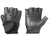 Import Best Weightlifting Gloves/Gym Gloves/Fitness Gloves from China