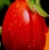 Import BIG Fresh Tomatoes,FRESH ORGANIC TOMATO and Fresh Red Tomato,Fresh from Philippines